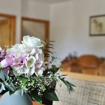 Rügen Mecklenburg Pool Alte Schule Barlin * Dargun