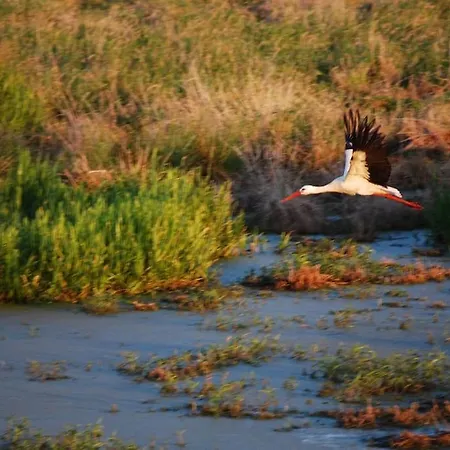 Apartment Rügen Mecklenburg Pool Alte Schule Barlin