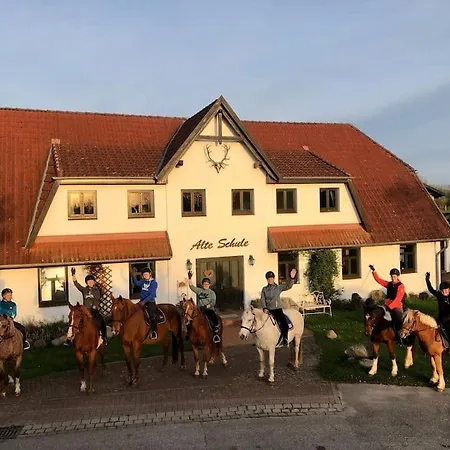 Rügen Mecklenburg Pool Alte Schule Barlin Apartment Dargun